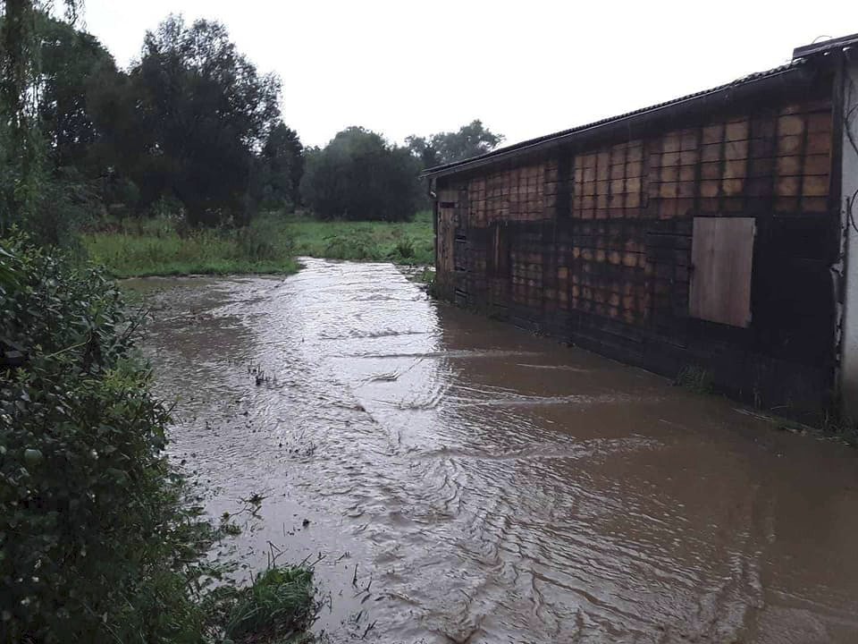 Na Vysočině měli hasiči plné ruce práce s odklízením škod, které napáchala bouřka