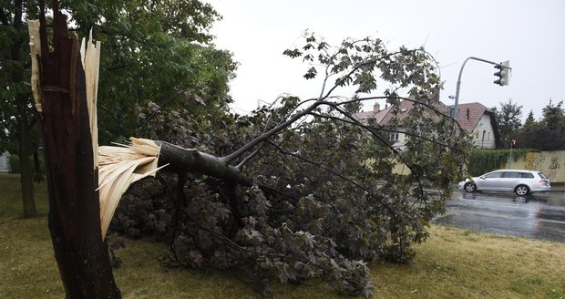 Prudká bouřka se prohnala Prahou a polámala stromy ve Strašnicích.