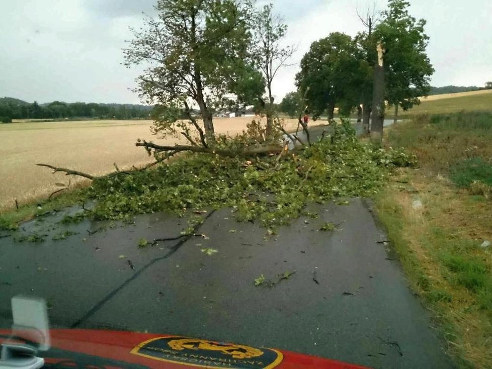 Na Blanensku se hasiči opět zapotili při odstraňování popadaných stromů.