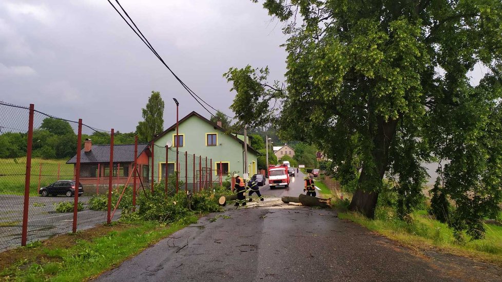 Bouřka v Liberci: Na Železnobrodsku hasiči vyjížděli k několika spadlým stromům. Jeden spadl i na sloup elektrického vedení (11.7.2021)