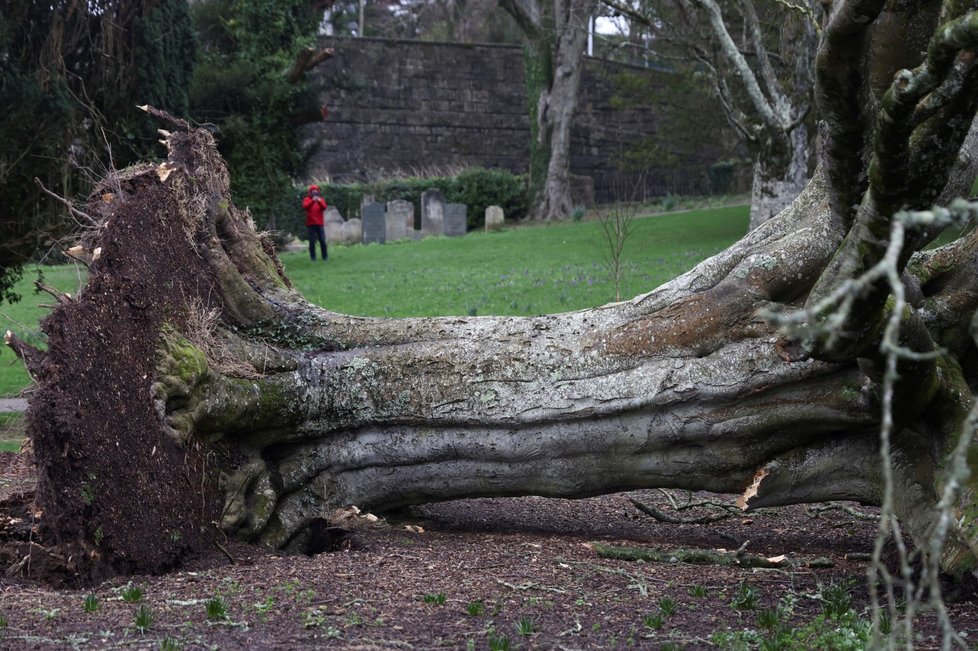 Bouřka Eunice ve Velké Británii: Silný vichr poničil parky a vylámal stromy (19.2.2022)