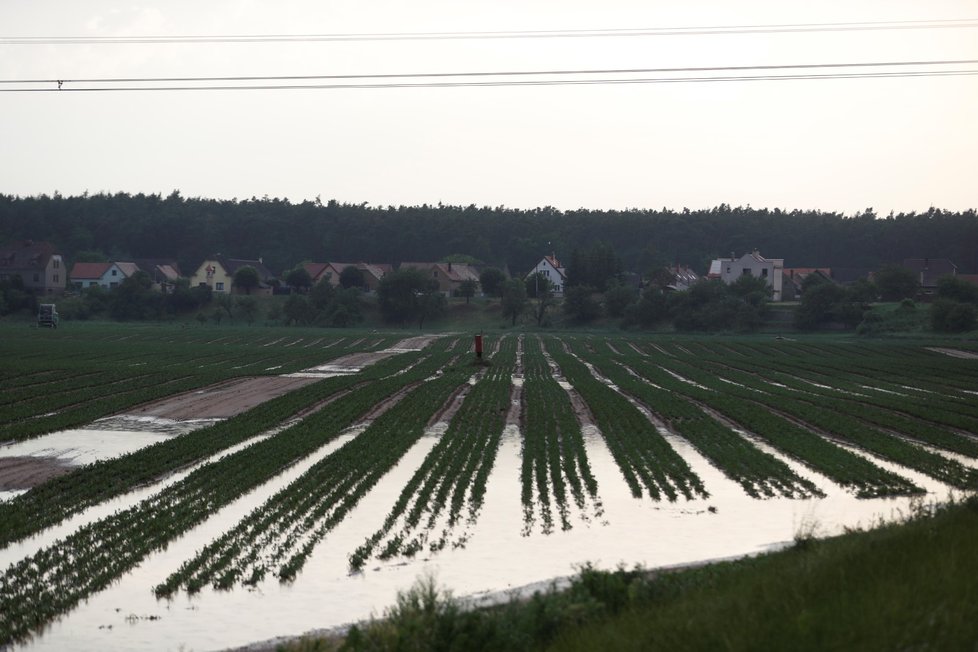 Středočeský Skorkov bojoval s přívalem vody, do jednoho z domů udeřil blesk (15. 6. 2019)