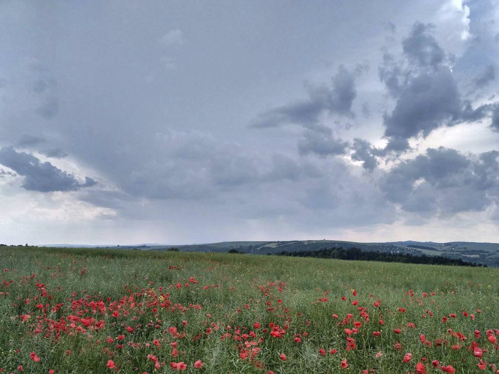 Do začátku školy se ochladí, pršet bude průměrně