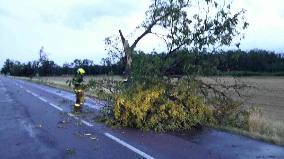 Přibližně 60 výjezdů kvůli odstraňování následků noční bouřky hlásí hasiči v Jihomoravském kraji. Hlavně odklízeli popadané stromy.