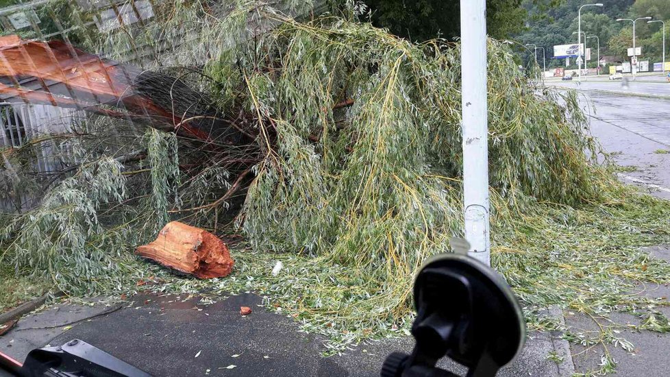 Při silných bouřkách padají stromy jako domečky z karet