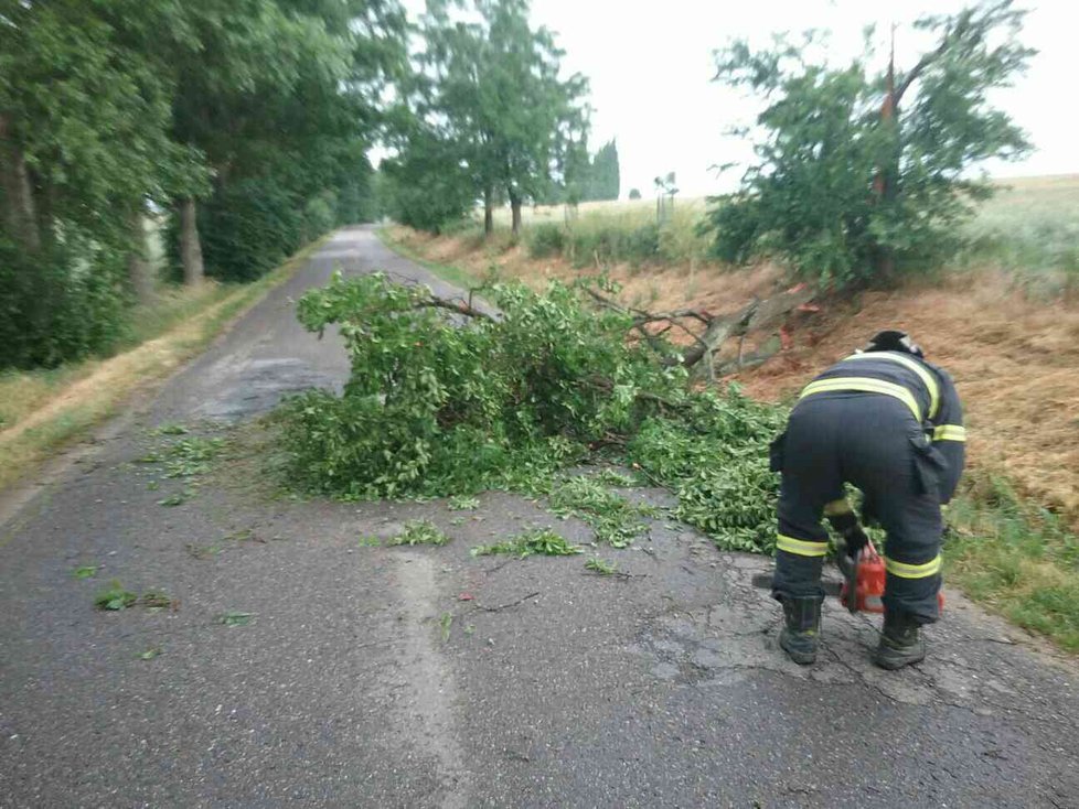 Přibližně 60 výjezdů kvůli odstraňování následků noční bouřky hlásí hasiči v Jihomoravském kraji. Hlavně odklízeli popadané stromy.