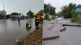 14. srpen 2020: Do Prahy zavítala bouřka, která vyplavila několik sklepů a zatopila ulice. Jiné ulici skončily značne poničené.