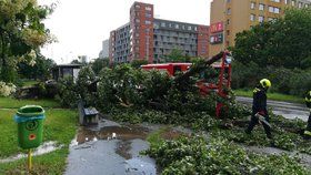 Bouřka v Praze lámala stromy, 13. června 2020.