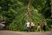Vědci varují: Jev El Niño začíná, zformoval se v Pacifiku. Může přinést šílené počasí