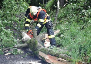 Práci s popadanými stromy měli také hasiči na Liberecku.