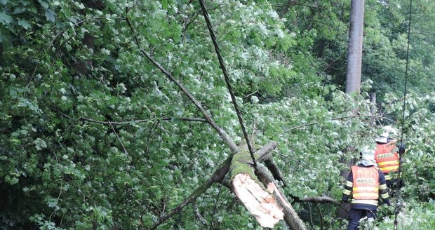 Hasiči na Liberecku odklízeli po bouřce popadané stromy. Některé s sebou strhly i elektrické vedení.