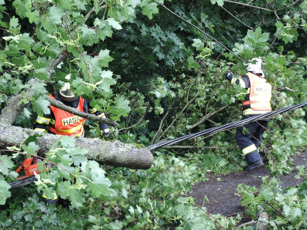 Hasiči na Liberecku odklízeli po bouřce popadané stromy. Některé strhly i elektrické vedení.