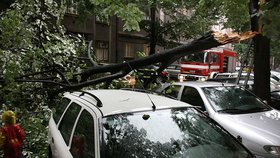 Spadlý strom odklízeli hasiči
