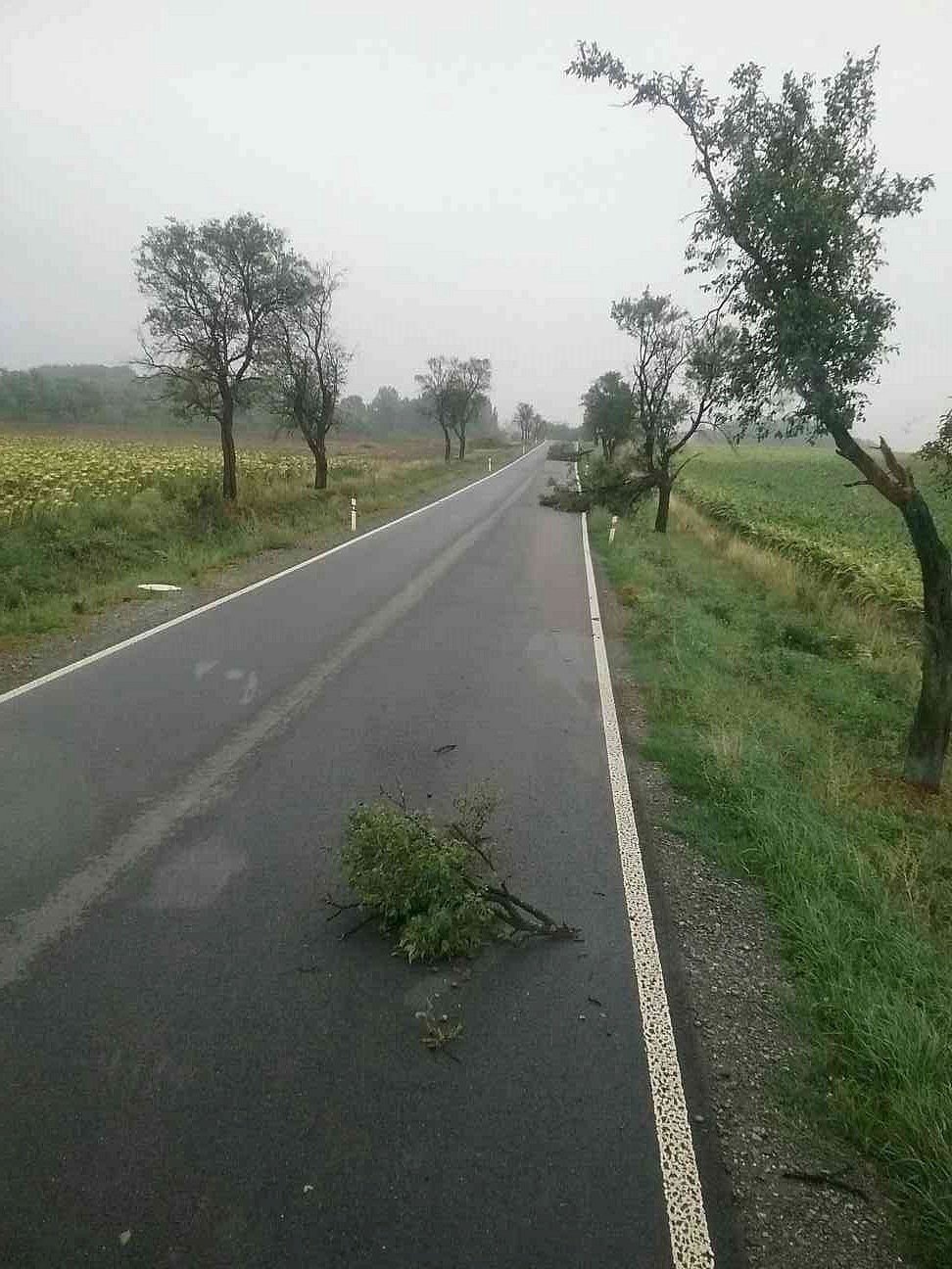 Jihomoravští hasiči zažili pernou noc.