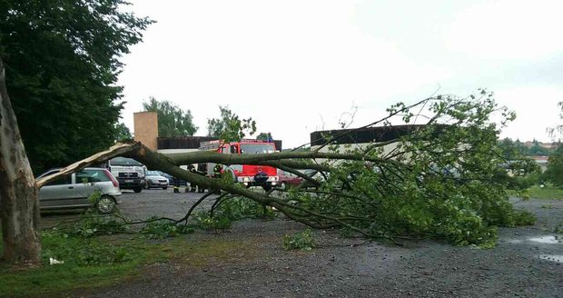 Bouřky a silný vítr v noci z 22. na 23. června přidělaly práci hasičům v Jihomoravském kraji, kteří vyjížděli k několika desítkám případů. Nejvíce práce měli s odstraňováním popadaných stromů a větví.