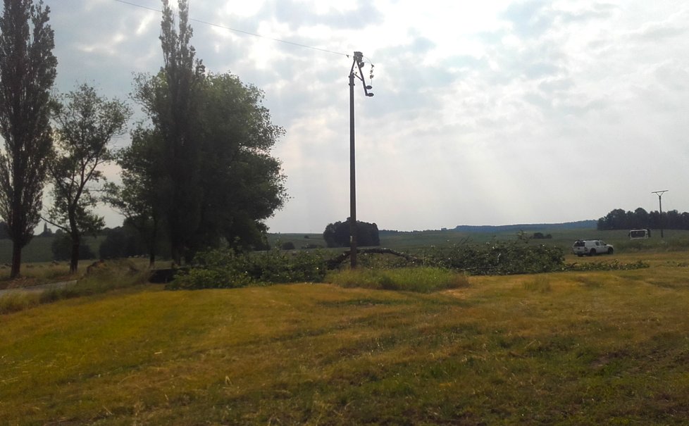 Spadlý strom do elektrického vedení po bouřkách a silném větru z noci na 23. června u obce Trhové Sviny na Českobudějovicku