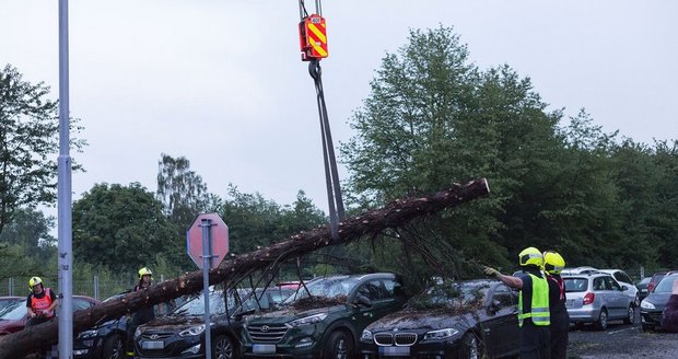 Na zaparkovaná auta v Mošnově spadl strom (28.7.2018)