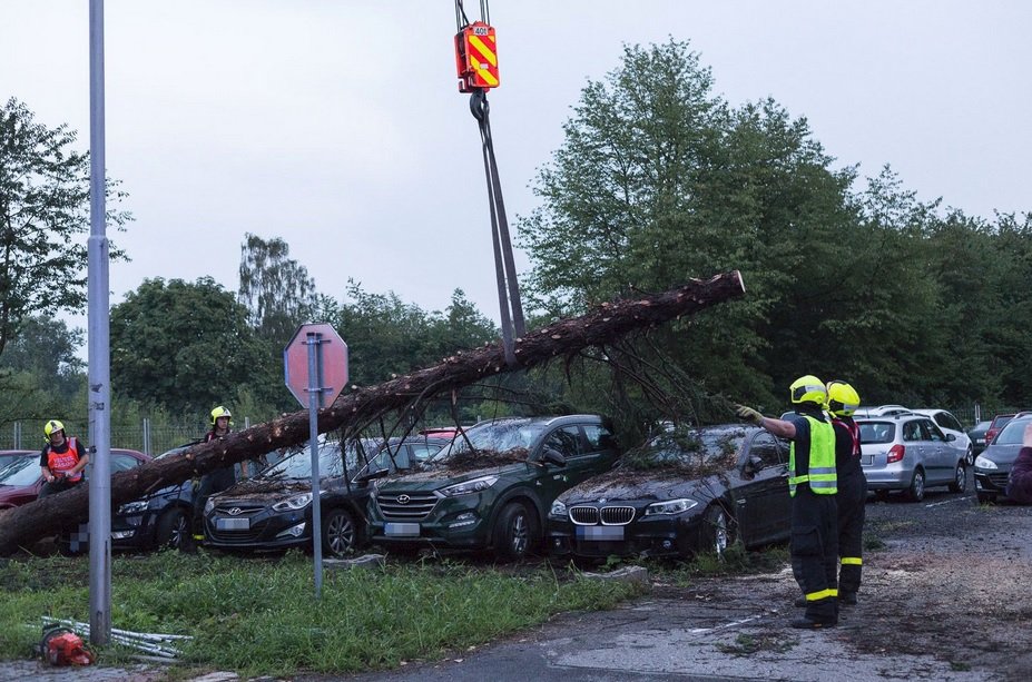 Na zaparkovaná auta v Mošnově spadl strom (28. 7. 2018).