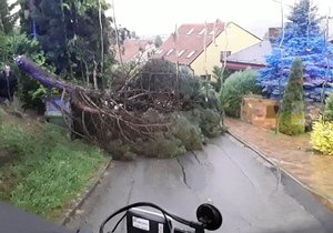 Bouřky vystřídaly tropy: Hasiči odstraňovali vichrem vyvrácené stromy na celém území Brna. (28.7.2020)