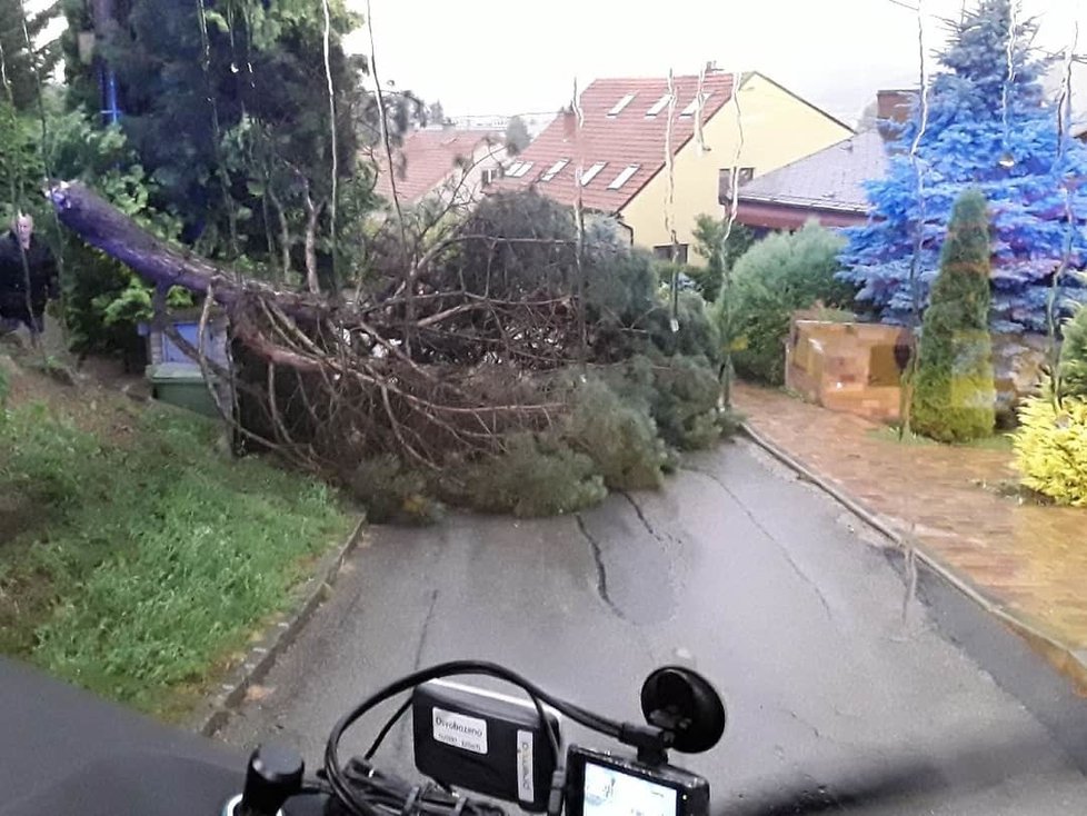 Bouřky vystřídaly tropy: Hasiči odstraňovali vichrem vyvrácené stromy na celém území Brna. (28.7.2020)