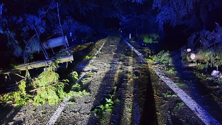 Bouřky vystřídaly tropy: K popadaným stromům vyjížděli i hasiči ve Zlínském kraji (28. 7. 2020).