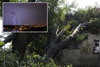 Českem se opět přehnaly bouřky: Popadané stromy ničily obydlí!