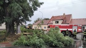 Bouřky se prohnaly Jihomoravským krajem (20.8.2026).