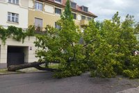 Bouřka v Praze: Pražští hasiči vyjeli k jednotkám případů, v Praze 5 spadl strom