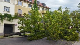 Škody po bouřkách v Praze (23.7.2022)