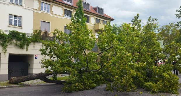 Škody po bouřkách v Praze (23.7.2022)