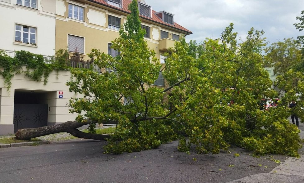 Škody po bouřkách v Praze.