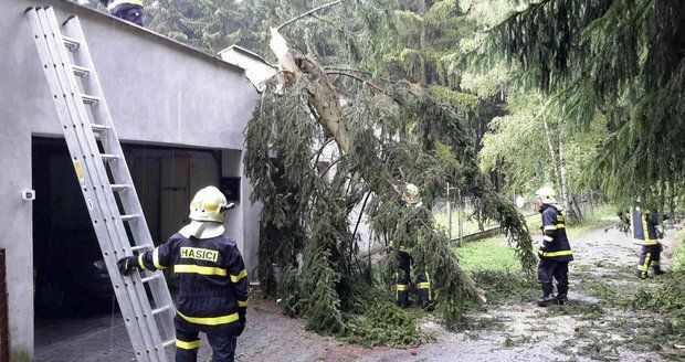 Na Blanensku se hasiči opět zapotili při odstraňování popadaných stromů.