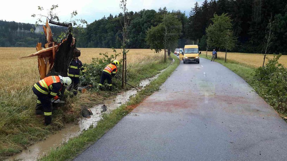 Na Blanensku se hasiči opět zapotili při odstraňování popadaných stromů.