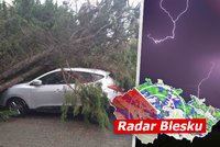 Česko bičují silné bouřky. Přinesou vichr, hrozí i povodně, sledujte radar Blesku