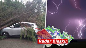 Česko bičují silné bouřky. Přinesou vichr, hrozí i povodně, sledujte radar Blesku