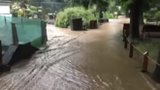 VIDEO: Mohutný liják vypláchl i pražskou zoo! Po cestě se valila hnědá řeka, bazén lachtanů musí vypustit