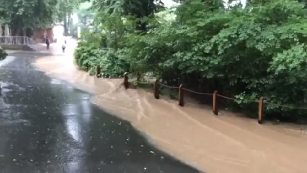 Liják vyplavil i Zoo Praha, 14. června 2020.