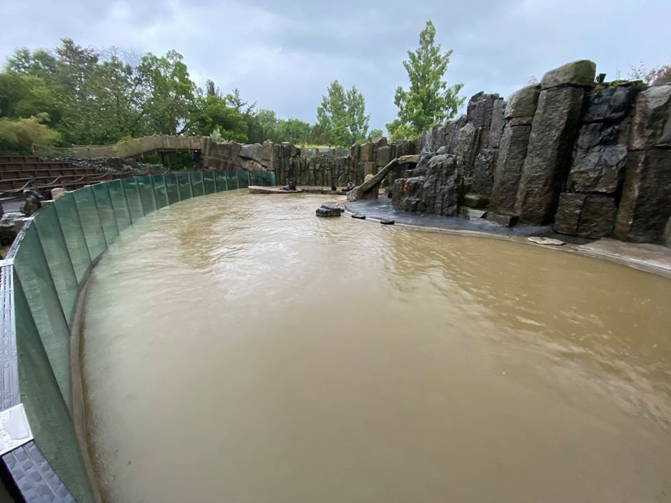 Liják vyplavil i Zoo Praha, 14. června 2020.