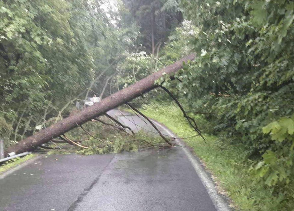 Bouřky na Olomoucku