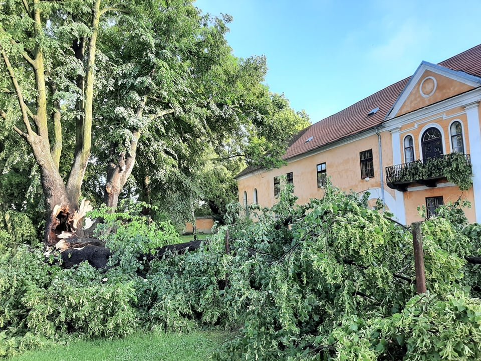 Noční bouřku a krupobití na jihu Čech nepřežila obří památná lípa na Táborsku, Zlomila se vejpůl.