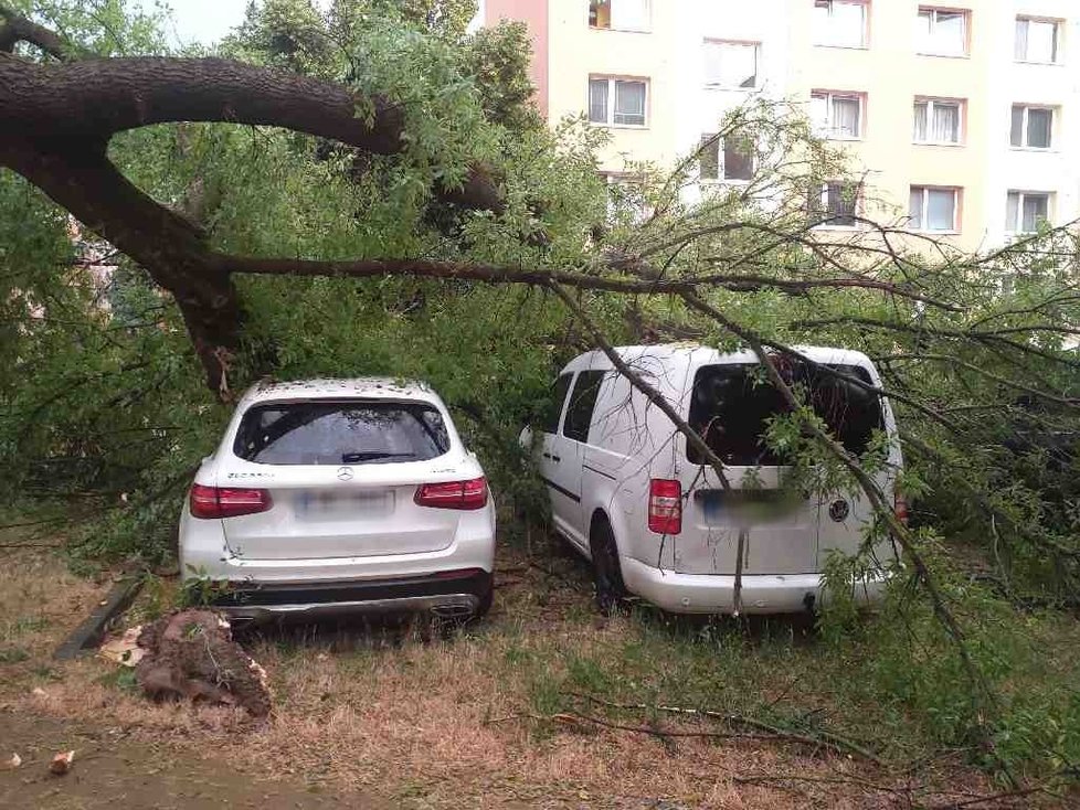 V brněnském Králově Poli vyvrátila bouřka několik stromů. Některé poškodily osobní auta.