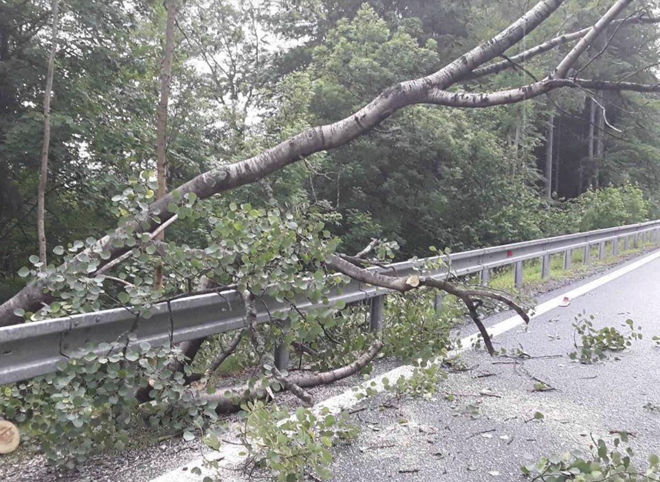 Bouřky udeřily v Olomouckém kraji, hasiči likvidovali jejich následky. (16. 6. 2019)