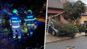 Účet po vydatných bouřkách: Pojišťovny evidují škody za desítky milionů.