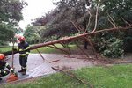 Od sobotní noci do nedělního rána ohlásili jihomoravští hasiči stovku výjezdů kvůli bouřce.