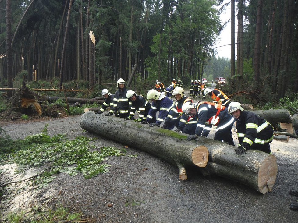 Popadané stromy v Seči u Lipové na Prostějovsku odstraňovalo 3. srpna po silném dešti sedm hasičských jednotek.