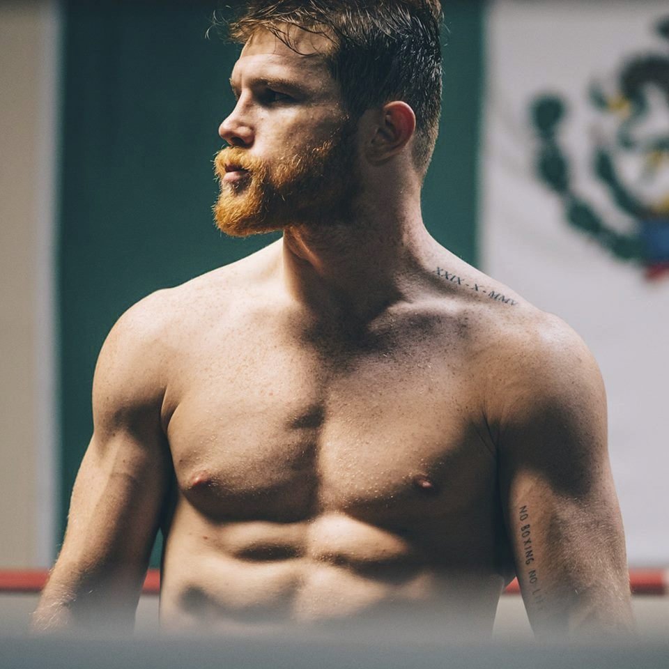 Saul Alvarez alias &#34;Canelo&#34; (Skořice)