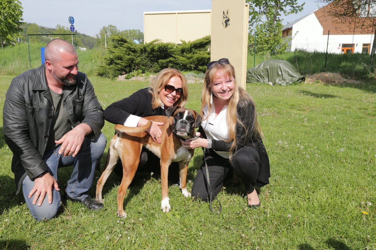 Harpye svým šarmem okouzlila i Dagmar Havlovou (64) při křtu knížky Německý boxer, jíž dala fenka svou tvář.