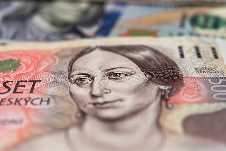 Božena Němcová se stala symbolem českého národa i na bankovce
