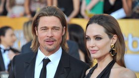 Brad ani Angelina si nepřejí, aby si jejich děti hledali informace o nich na internetu.