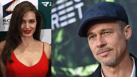 Brad Pitt poprvé od rozchodu s Angelinou promluvil: Nebyl den, kdy jsem nechlastal!